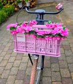 Cortina U4 meisje fiets 26inch, Fietsen en Brommers, Fietsaccessoires | Fietsmanden, Ophalen