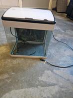 Aquarium 20 liter, Dieren en Toebehoren, Vissen | Aquaria en Toebehoren, Ophalen, Gebruikt, Leeg aquarium