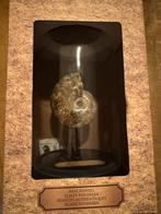 Schelp op standaard, Ophalen, Schelp(en)