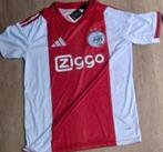 Ajax thuis shirt 2025/26, Ophalen of Verzenden, Nieuw, Ajax, Shirt
