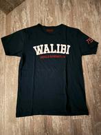 Pretpark kleding, Tickets en Kaartjes, Recreatie | Pretparken en Attractieparken, Eén persoon, Ticket of Toegangskaart