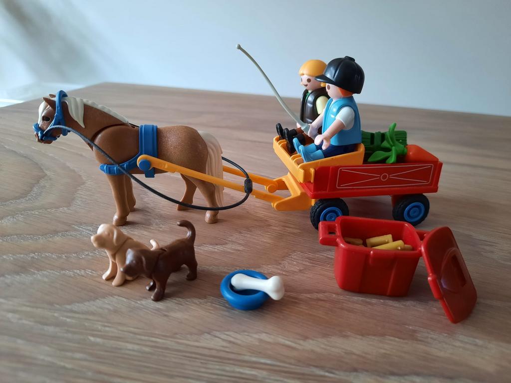 Playmobil set met pony en kar, Ophalen of Verzenden, Zo goed als nieuw