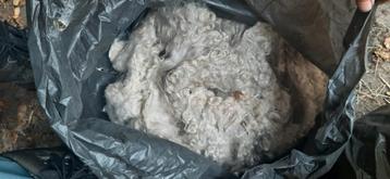 Angora vacht, mohair wol, geiten vacht beschikbaar voor biedingen