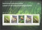 Nederlandse Onderwaterwereld: Leven i/d overstromingsvlakte, Ophalen of Verzenden, Na 1940, Postfris