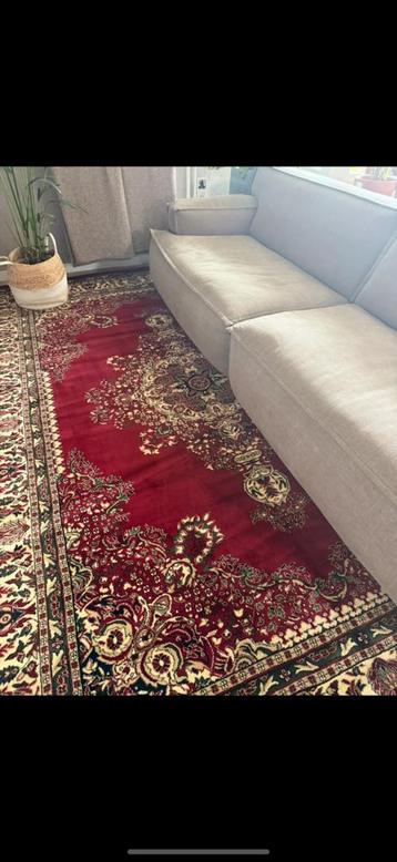 Vloerkleed 240x340 bijna nieuw van sept beschikbaar voor biedingen