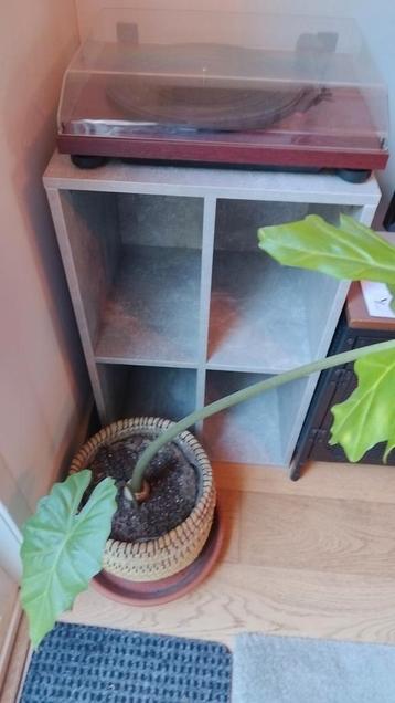 Lp vinyl kastje beschikbaar voor biedingen