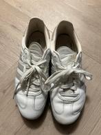 Adidas samba maat 42,5, Kleding | Heren, Schoenen, Ophalen of Verzenden, Gedragen, Wit, Sneakers of Gympen