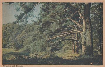 04250 - Ermelo - Groeten uit ... beschikbaar voor biedingen