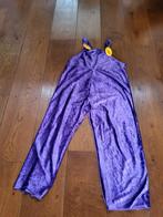 Carnavalsbroek volwassene. Paars, Ophalen, Zo goed als nieuw