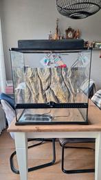 Exo Terra Pro Terrarium 604560 cm, Dieren en Toebehoren, Ophalen