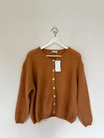 Gaaf vestje, Kleding | Dames, American Vintage, Ophalen of Verzenden, Zo goed als nieuw, Oranje
