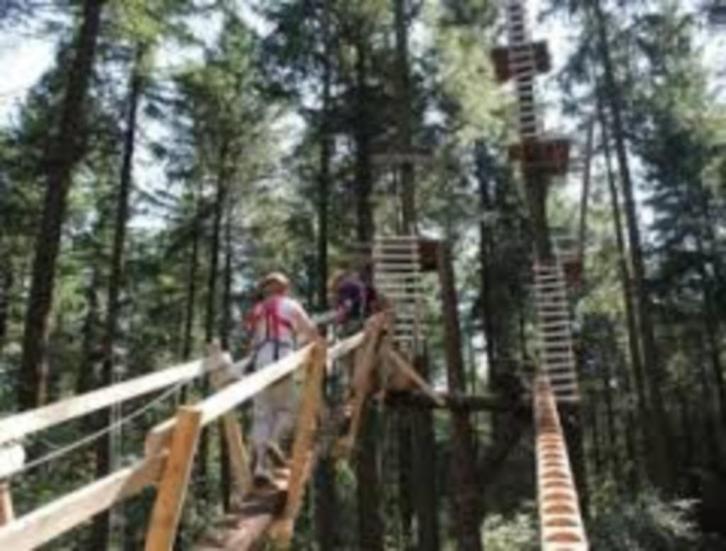 20% Korting Fun Forest Klimparken, Tickets en Kaartjes, Recreatie | Overige, Kortingskaart