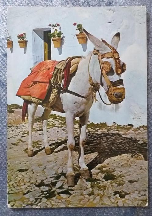 Ansichtkaart: Costa del Sol, Spanje 1967 [5195]  [VeAnAn], Verzamelen, Ansichtkaarten | Buitenland, Gelopen, Spanje, 1960 tot 1980