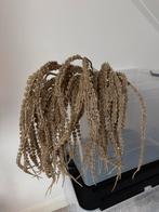 6 champagne Glitter Takken - Goodwill, Diversen, Kerst, Ophalen of Verzenden, Zo goed als nieuw