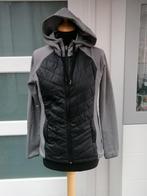 Energetics sport jas vest maat 40 met capuchon, Gedragen, Energetics sport, Grijs, Maat 38/40 (M)