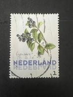 Kaderzegel Liguster, Verzenden, Na 1940, Gestempeld