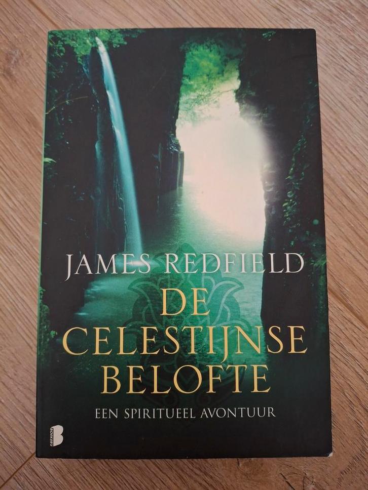 De Celestijnse Belofte - James Redfield, Boeken, Esoterie en Spiritualiteit, Gelezen, Verhaal of Roman, Spiritualiteit algemeen
