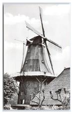 Garsthuizen, Koren- en pelmolen "De Hoop", Verzenden, 1960 tot 1980, Ongelopen, Groningen