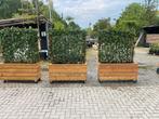 Plantenbakken op maat met kant en klaar hedera, Nieuw, Rechthoekig, Hout, Tuin