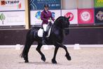 Talentvolle friese ster sport merrie & 4 jr stamboek merrie, Merrie, Met stamboom, Z, Dressuurpaard