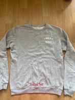 In Gold We Trust Grijze Trui, Ophalen of Verzenden, Zo goed als nieuw, Maat 46 (S) of kleiner, Grijs