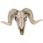Kunst Schapen Schedel / Decor Dieren Skull Ram Kop Jacht Nep, Verzenden, Nieuw