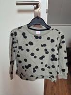 Hema Longsleeve Maat 110/116, Kinderen en Baby's, Kinderkleding | Maat 110, Meisje, Ophalen of Verzenden, Zo goed als nieuw, Shirt of Longsleeve