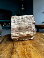 Prachtige versteende boomstam miljoenen jaren oud, Verzamelen, Mineralen en Fossielen, Ophalen of Verzenden, Fossiel