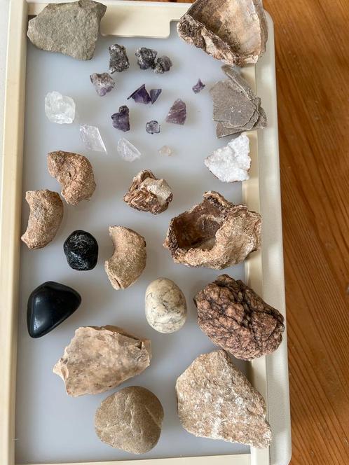 Diverse Mineralen & Fossielen Collectie, Verzamelen, Mineralen en Fossielen, Mineraal, Ophalen of Verzenden