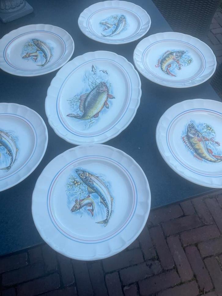Italiaanse Visborden Castellania - 7 delig, Huis en Inrichting, Keuken | Servies, Gebruikt, Bord(en), Overige stijlen, Aardewerk