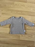 Noppies baby shirt maat 44, Jongetje of Meisje, Nieuw, Ophalen of Verzenden, Noppies