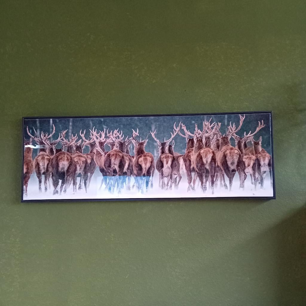 lijst, Ophalen, Kunststof, Gebruikt, 100 tot 125 cm