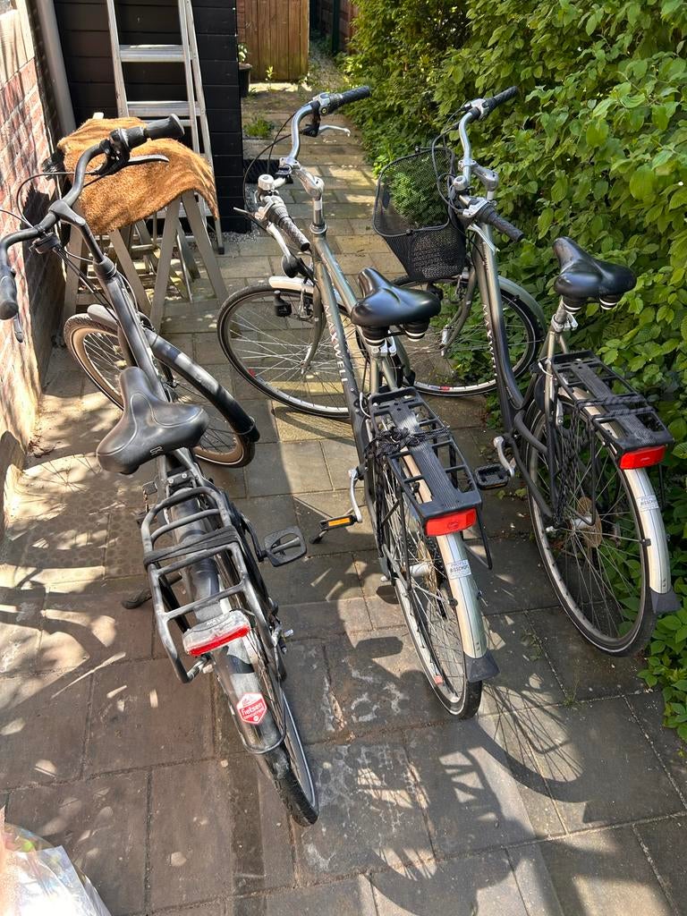 Drie Maxwell fietsen - Ideaal voor het gezin!, Velgrem, Ophalen, Overige merken, 53 tot 56 cm