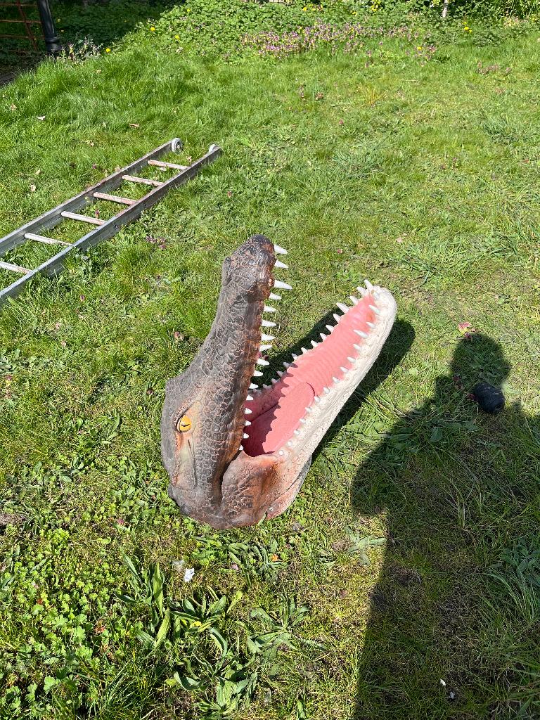 Krokodillenkop krokodil drakenkop kermis spookhuis dino, Ophalen
