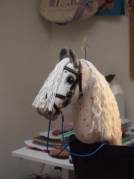 Mooie iw hobbyhorse! Net als ovega, Ophalen of Verzenden, Zo goed als nieuw, Jongen of Meisje