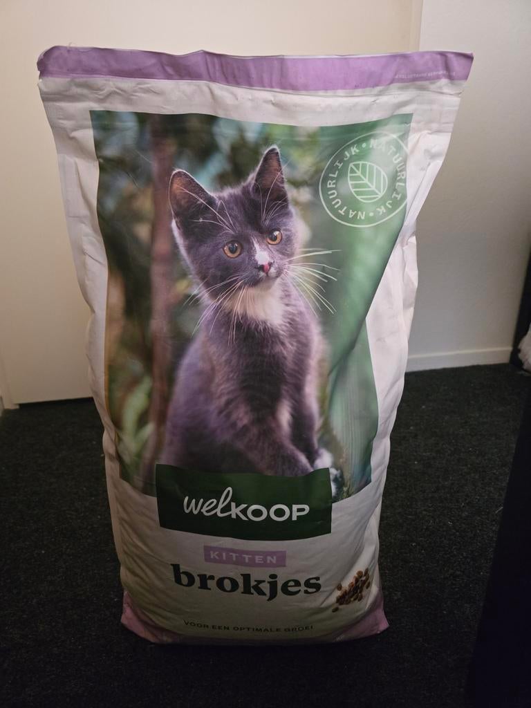 Welkoop kitten brokjes, Ophalen, Kat