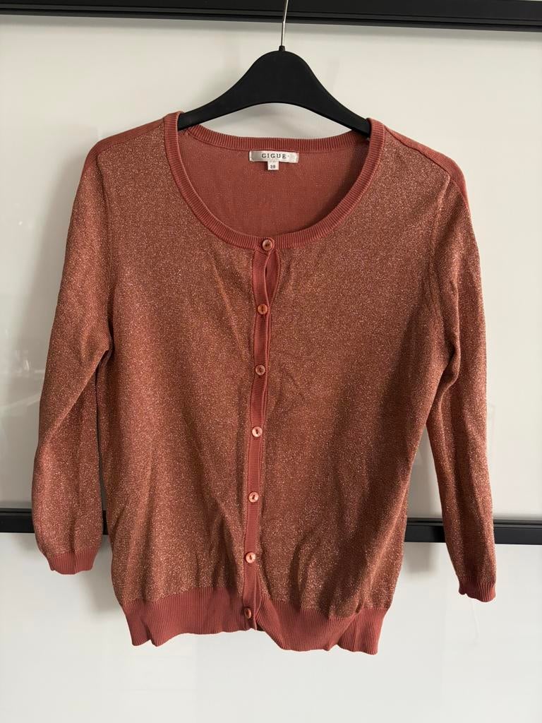 GIGUE Vestje maat 38 (NIEUW), Ophalen of Verzenden, Nieuw, Maat 38/40 (M), Bruin
