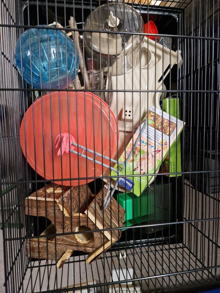 Muizenkooi/rattenkooi/hamsterkooi., Januari, Mannelijk, Muis