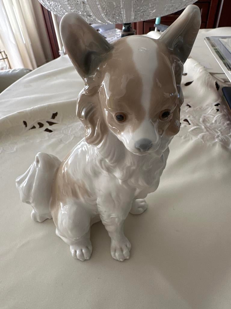 Prachtig porseleinen beeldje van een Chihuahua hond, Ophalen of Verzenden, Zo goed als nieuw, Dier