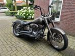 Harley Davidson FatBoy, Particulier
