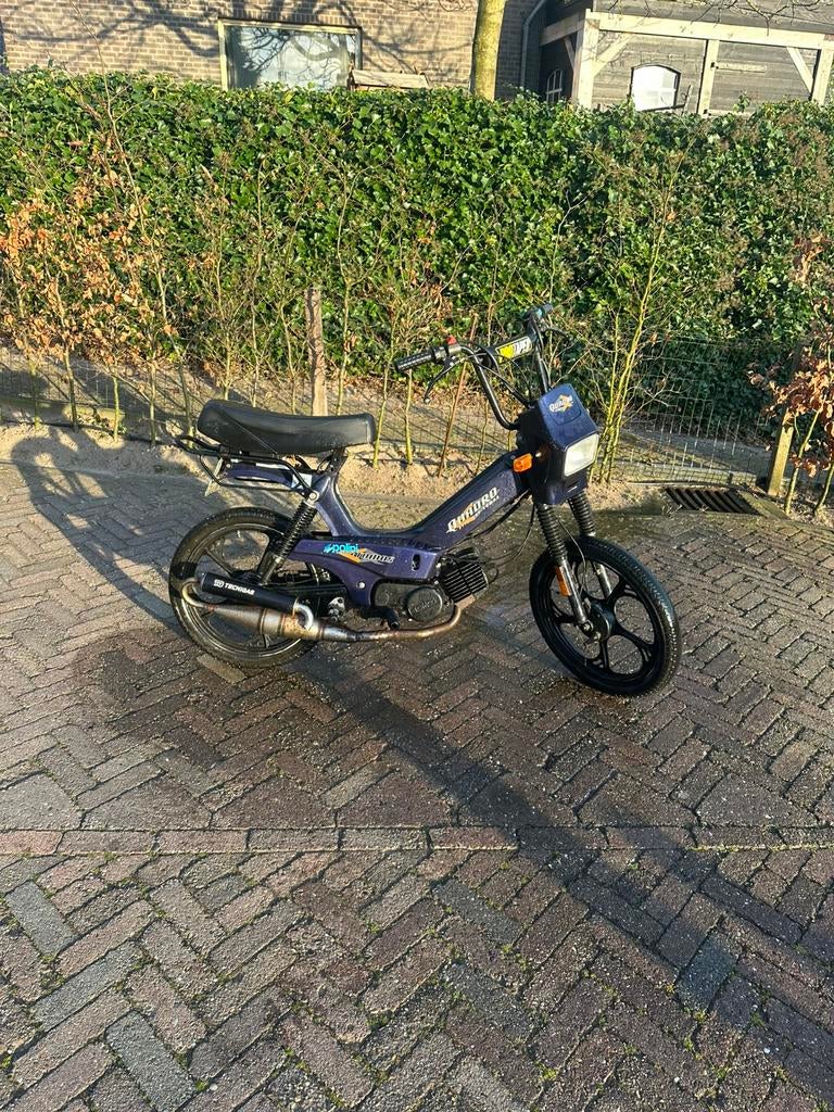 Tomos qaudro, Ophalen, Gebruikt, Maximaal 45 km/u, 2 versnellingen