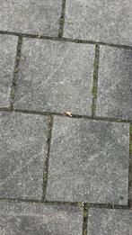 Tuintegels gratis!, Tuin en Terras, Tegels en Klinkers, Ophalen, Zo goed als nieuw, Beton, Terrastegels