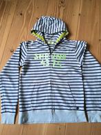 Scotch & Soda vest maat 176 (3), Trui of Vest, Ophalen of Verzenden, Zo goed als nieuw, Scotch & Soda