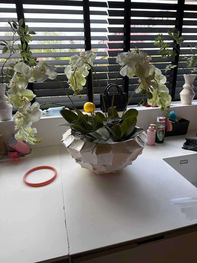 Grote kunst orchidee in witte schelpenvaas, Ophalen, Binnen, Gebruikt, Kunstplant