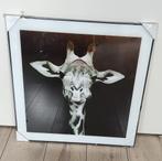 Schilderij met giraffe, 50 tot 75 cm, Nieuw, Ophalen of Verzenden, Schilderij