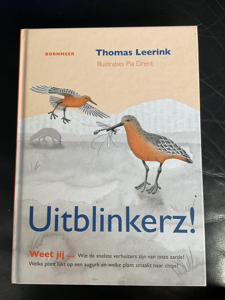 Thomas Leerink - Uitblinkerz!, Fictie algemeen, Thomas Leerink, Ophalen of Verzenden, Zo goed als nieuw