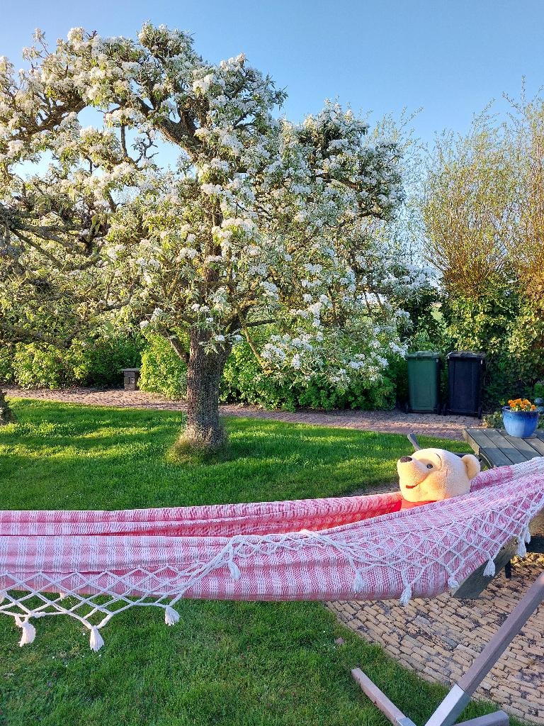 Hangmat, Tuin en Terras, Hangmatten, Ophalen, Gebruikt, Inklapbaar, Eenpersoons