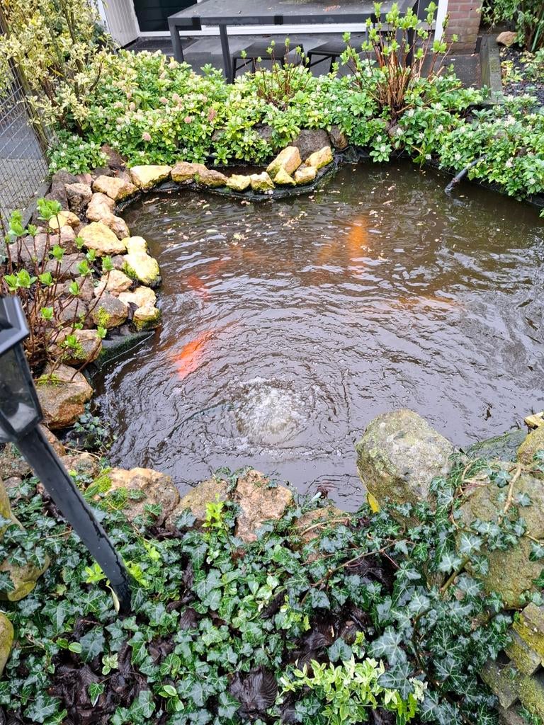 Vijver tekoop, Tuin en Terras, Vijvers, Ophalen of Verzenden