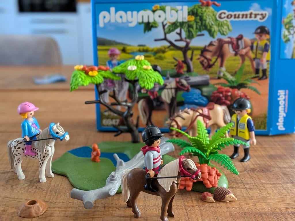 Playmobil Country 6947: Paardrijles in de Natuur, Kinderen en Baby's, Speelgoed | Playmobil, Ophalen of Verzenden, Zo goed als nieuw