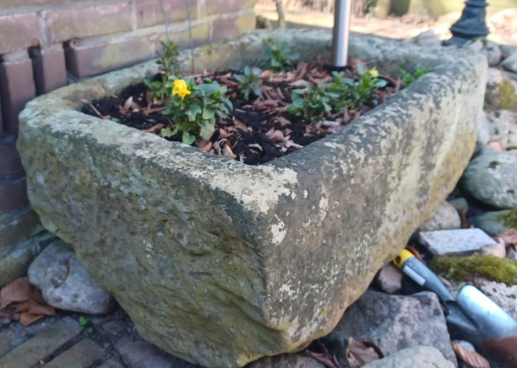 Bentheimer zandsteen trog, Ophalen, Steen, Gebruikt, 60 tot 100 cm